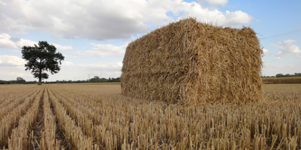 HD bales